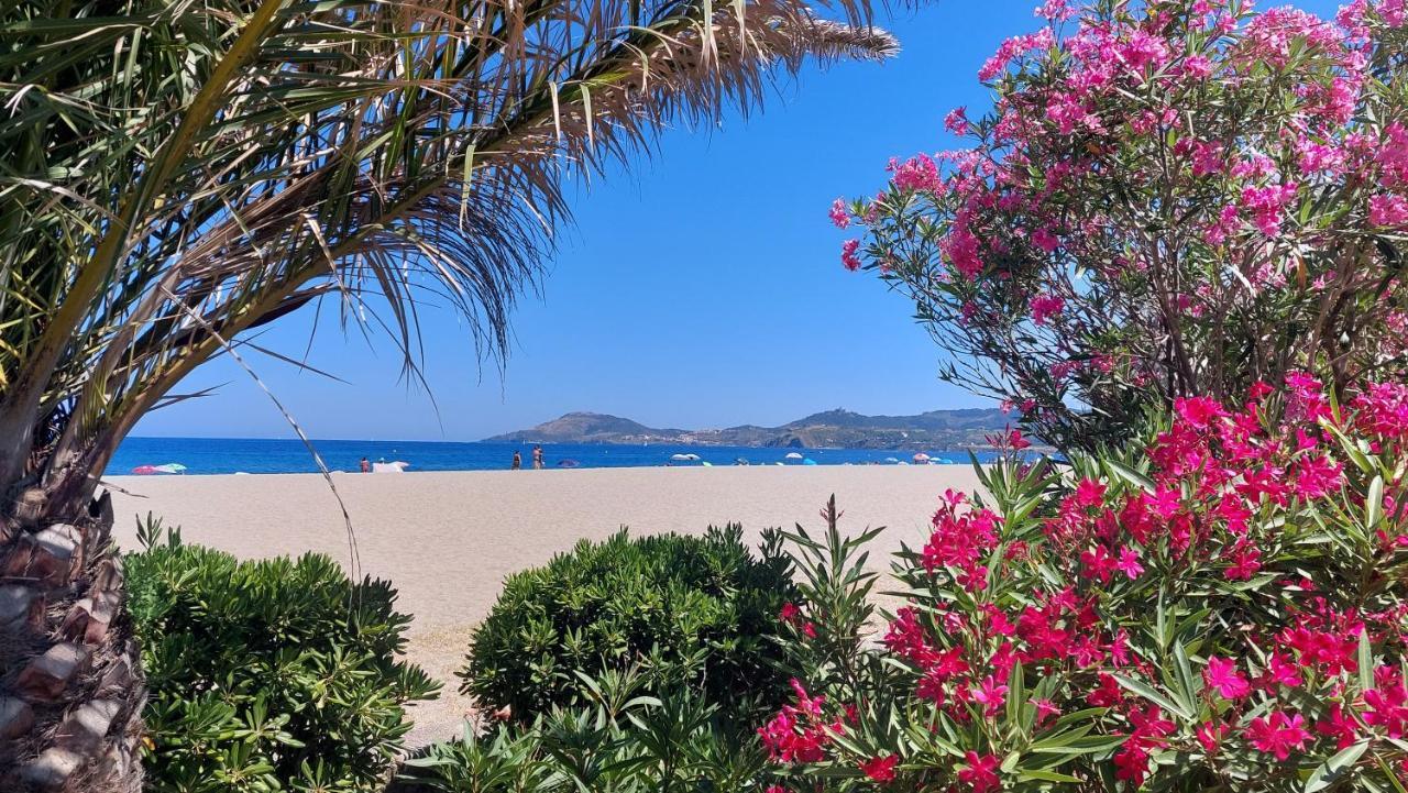 Sur La Plage, Super Studio Avec Vue Sur La Mer Plage dʼArgelès エクステリア 写真