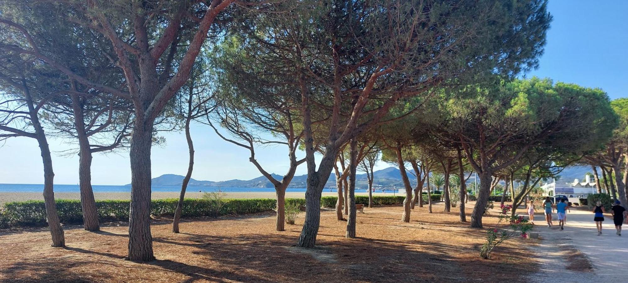 Sur La Plage, Super Studio Avec Vue Sur La Mer Plage dʼArgelès エクステリア 写真