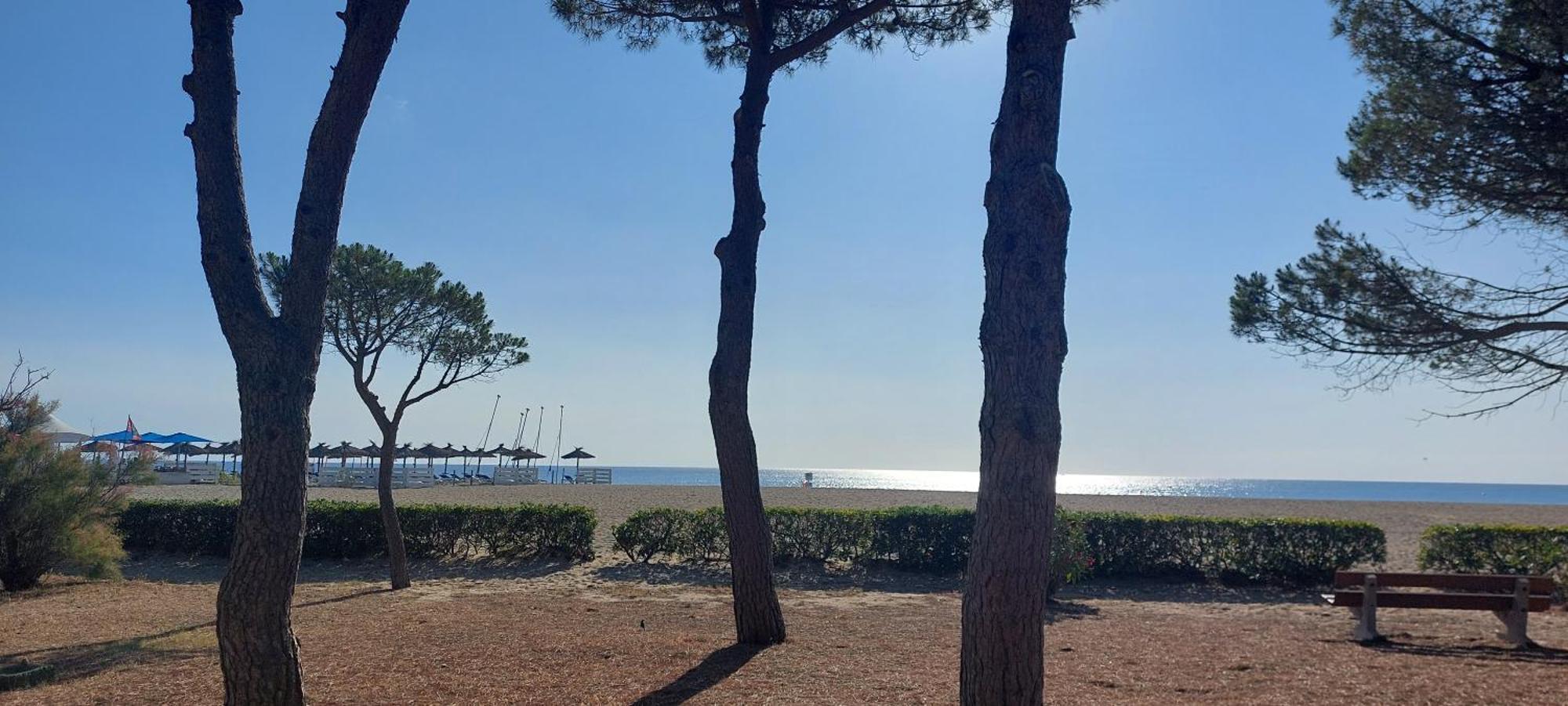 Sur La Plage, Super Studio Avec Vue Sur La Mer Plage dʼArgelès エクステリア 写真